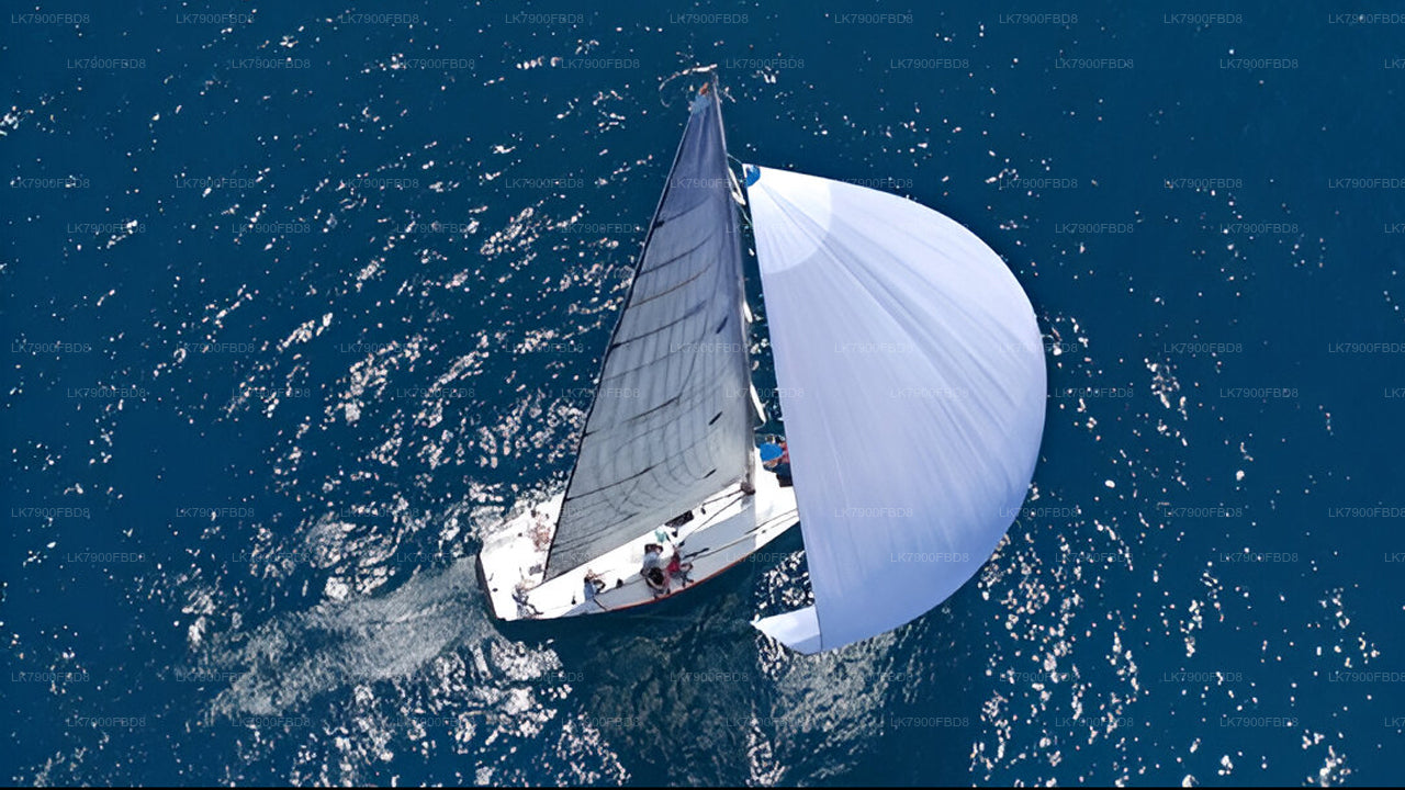 6 nachten cruisevakantie in Mirissa