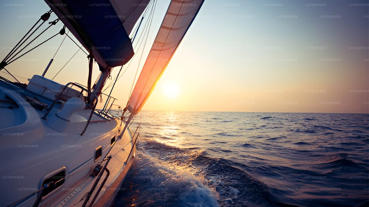 6 nachten cruisevakantie in Mirissa