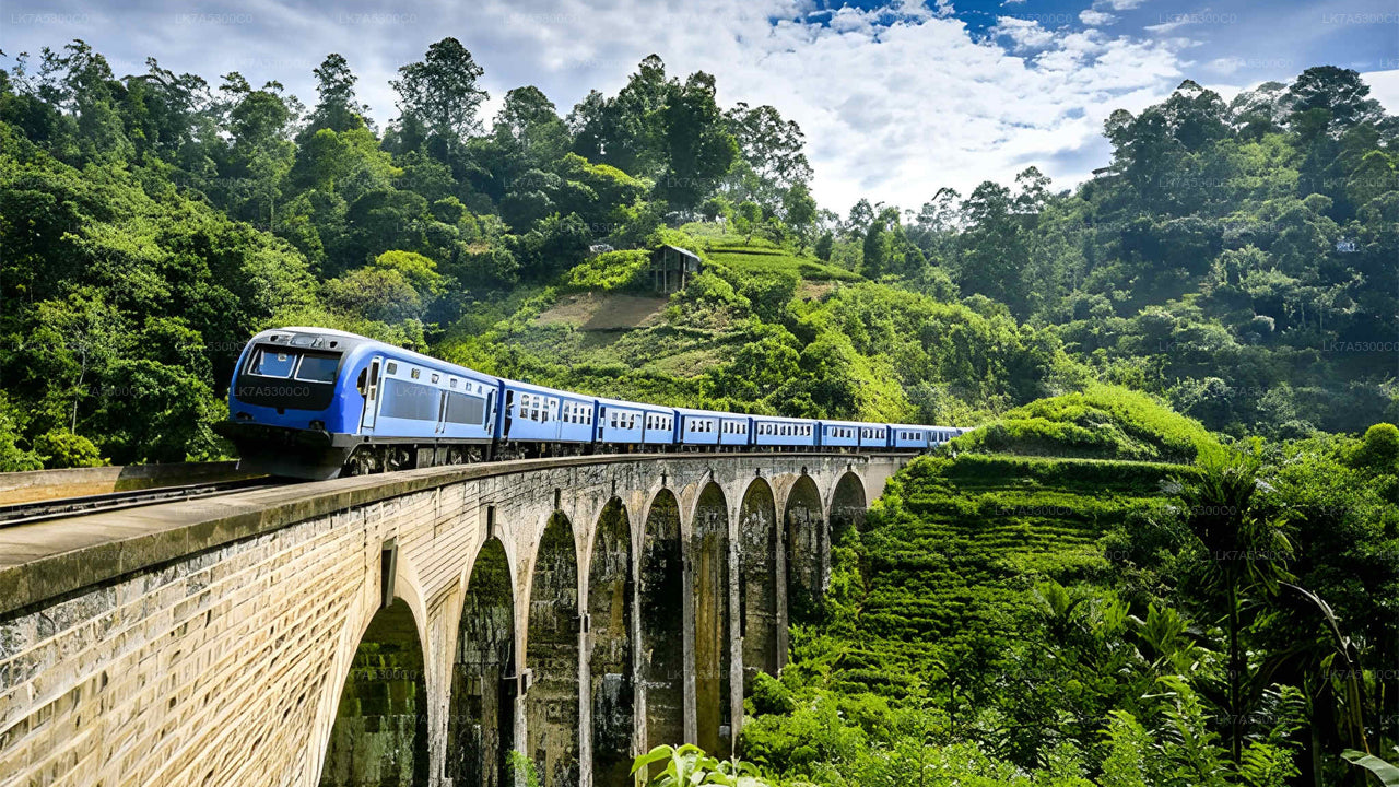 Treinreis van Ella naar Kandy (Trein nr. 1006 "Podi Menike")