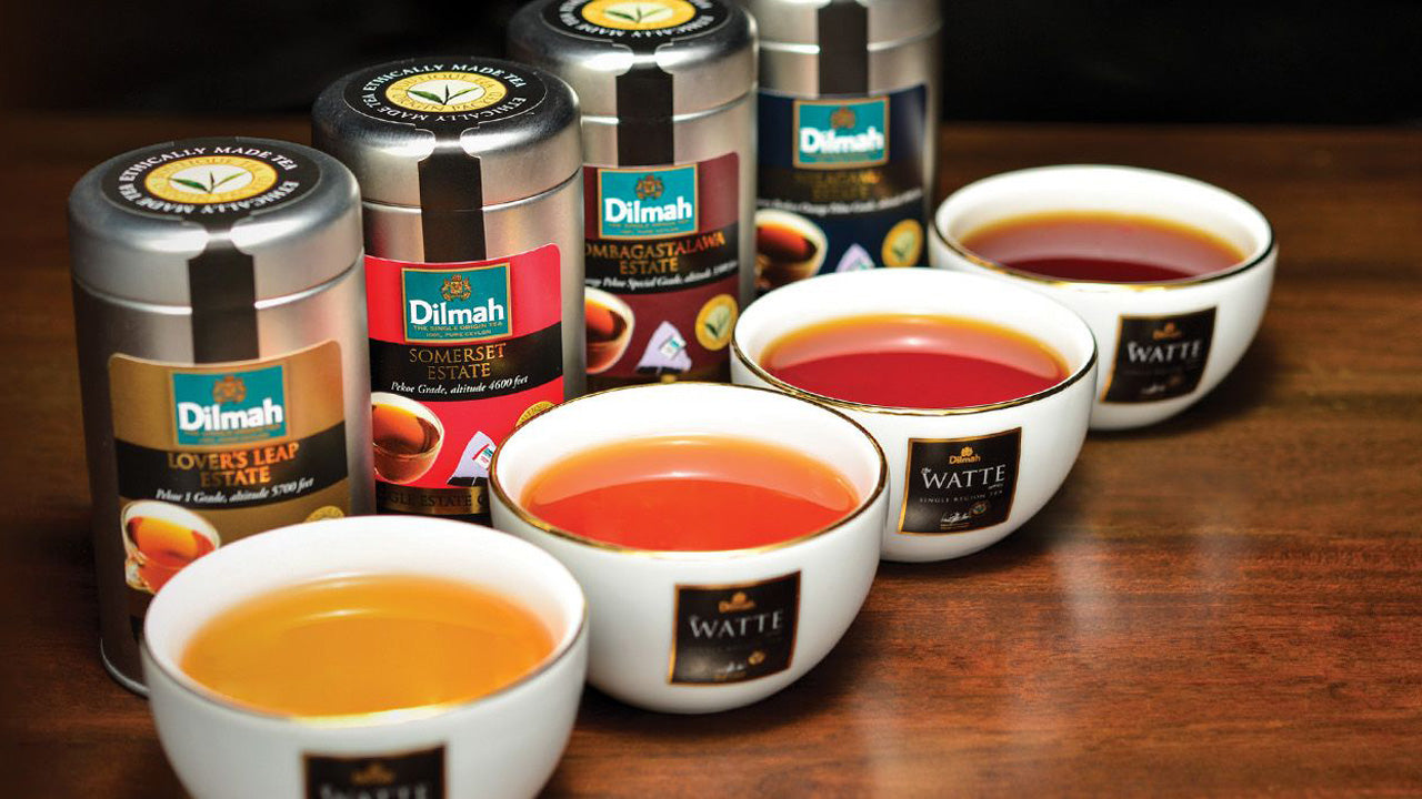 Ceylon-theeproeverij uit Colombo