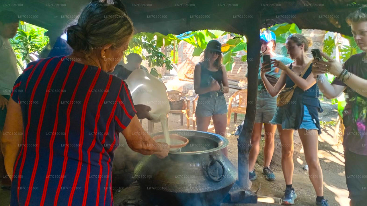 Ervaring met wrongelverwerking in Tissamaharama