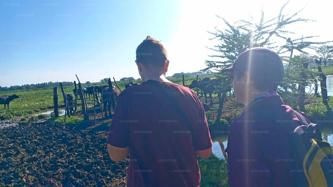 Ervaring met wrongelverwerking in Tissamaharama