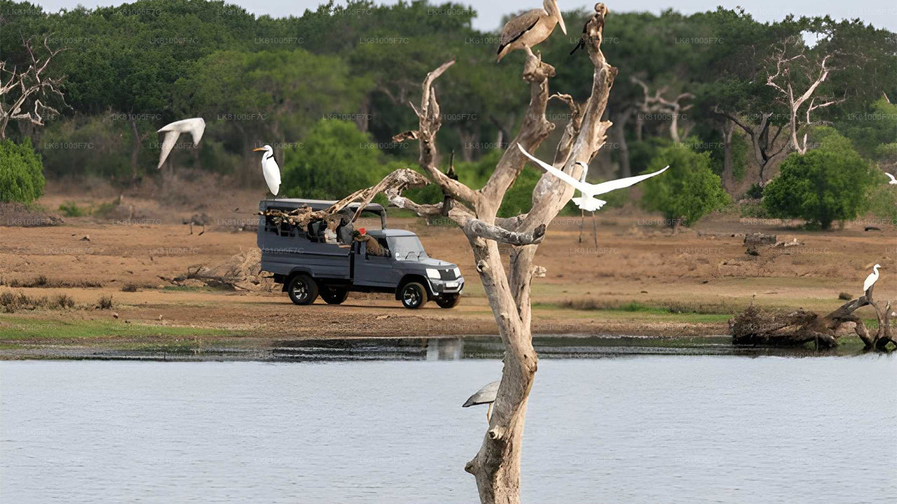 Safari naar Bundala National Park vanuit de zeehaven van Hambantota