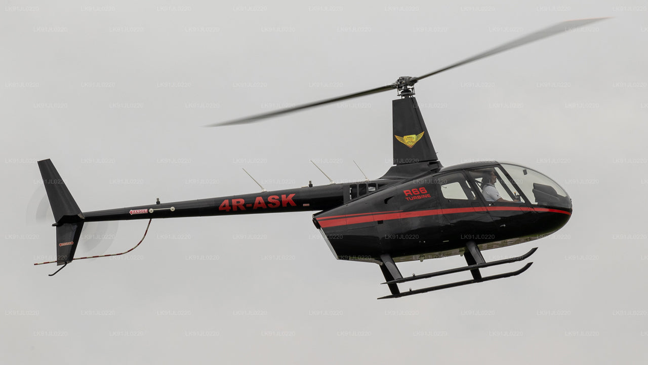 Robinson R66 (4 zitplaatsen)