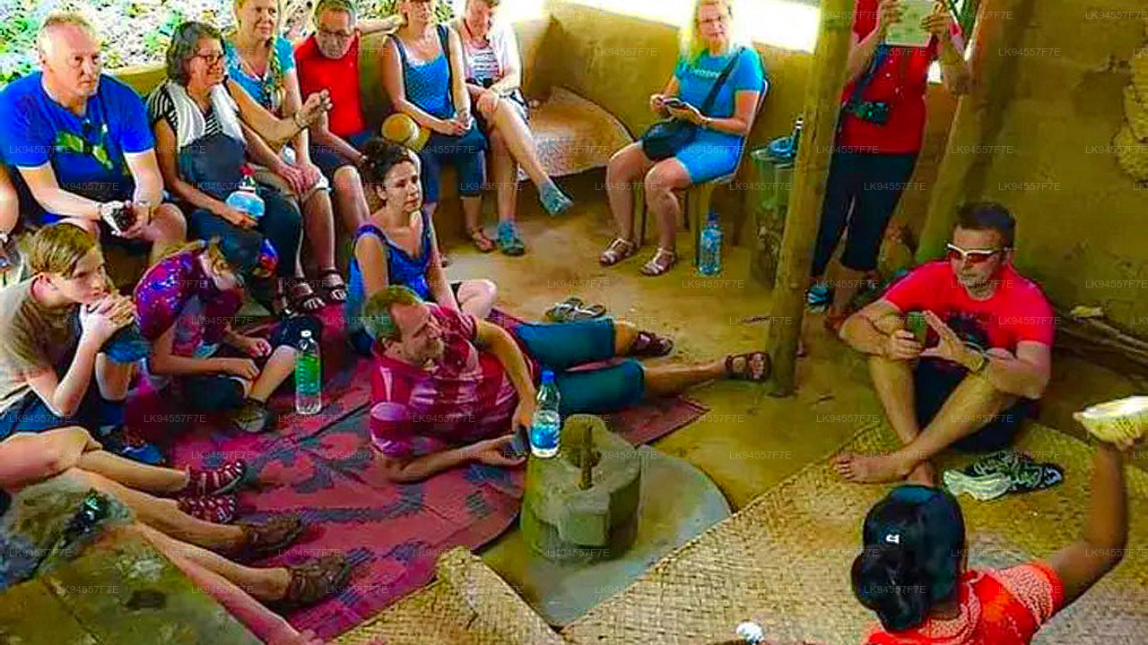 Hingula Village Safari and Honey Museum