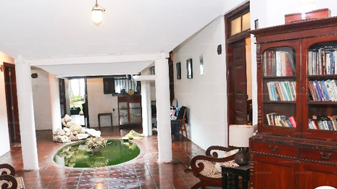 turtles rest & curry bowl, Hikkaduwa