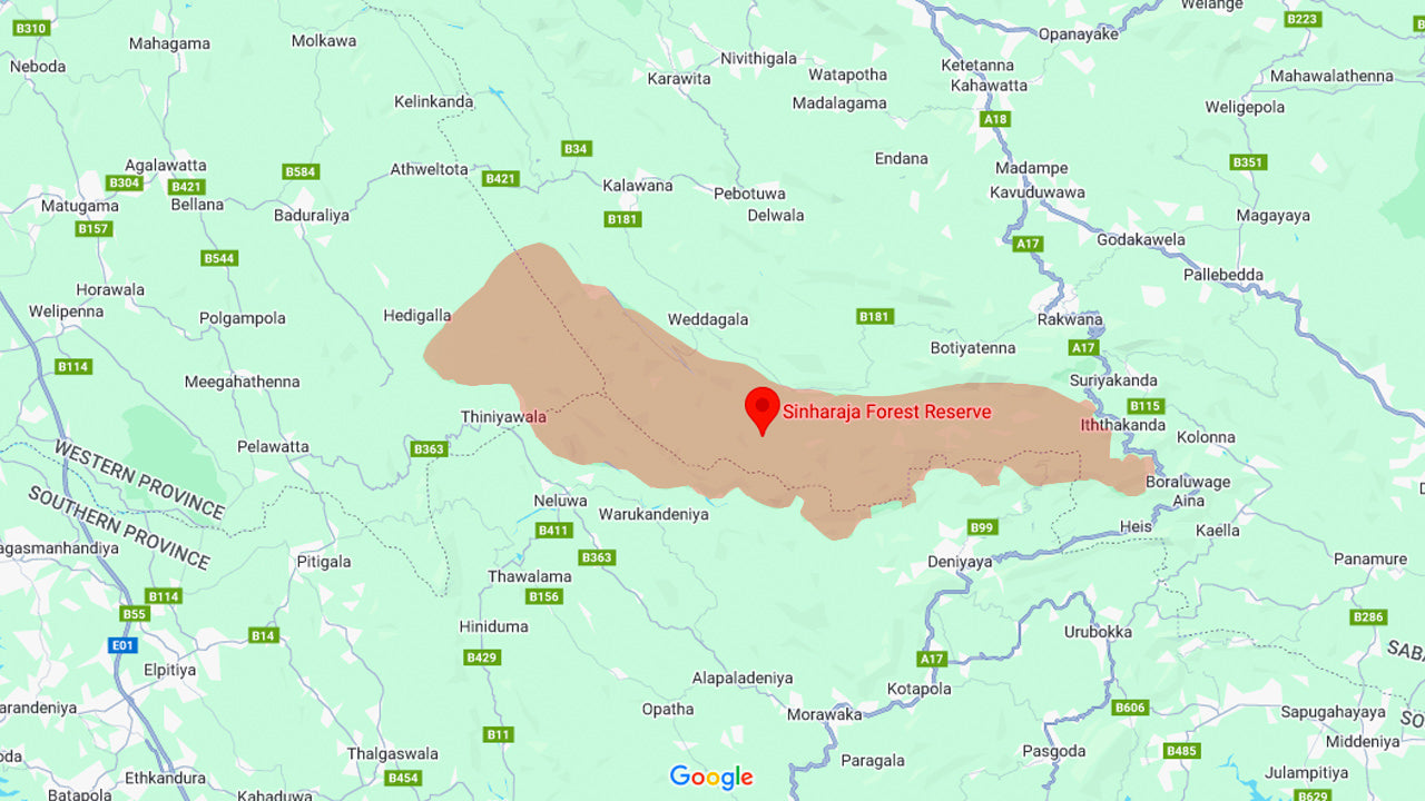 Sinharaja Regenwoud Avontuurlijke Tour