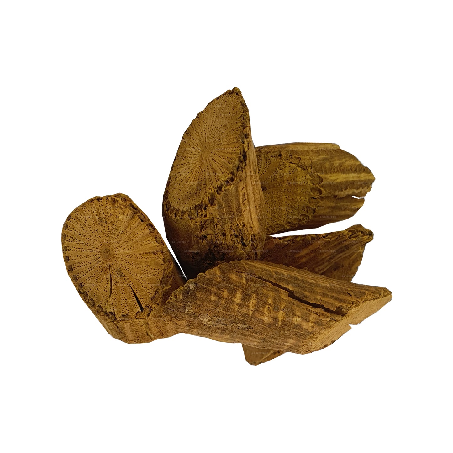 Lakpura Venivelgeta blaft