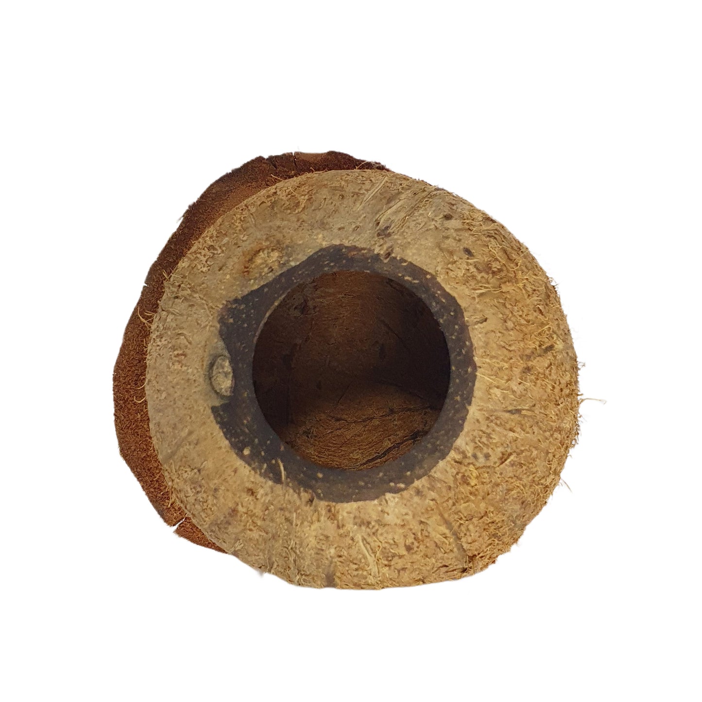 Bivenro Natural Coconut Bird Nest With Husk Cap Design (Free Size)