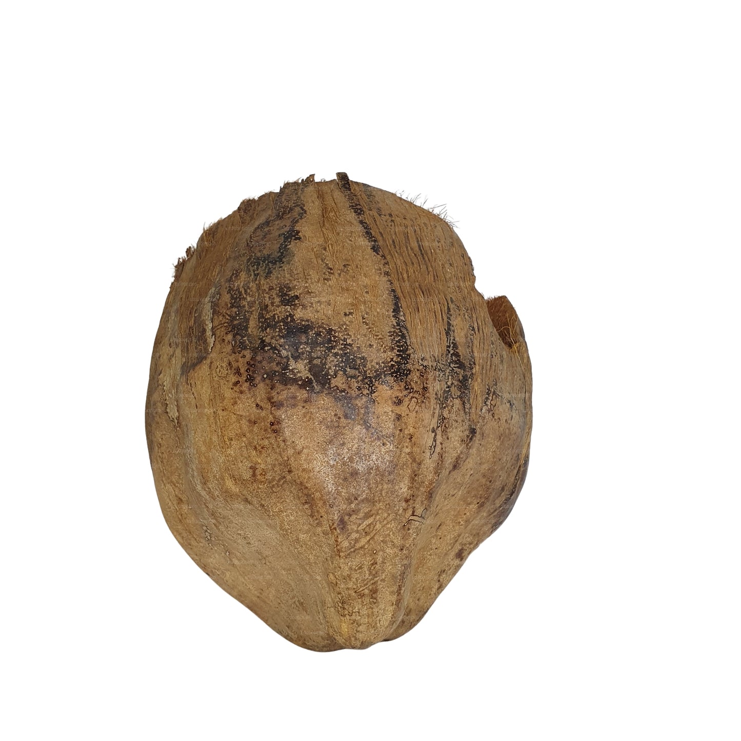 Bivenro Natural 3/4 Cocoa Hideout met schilontwerp (vrije maat)