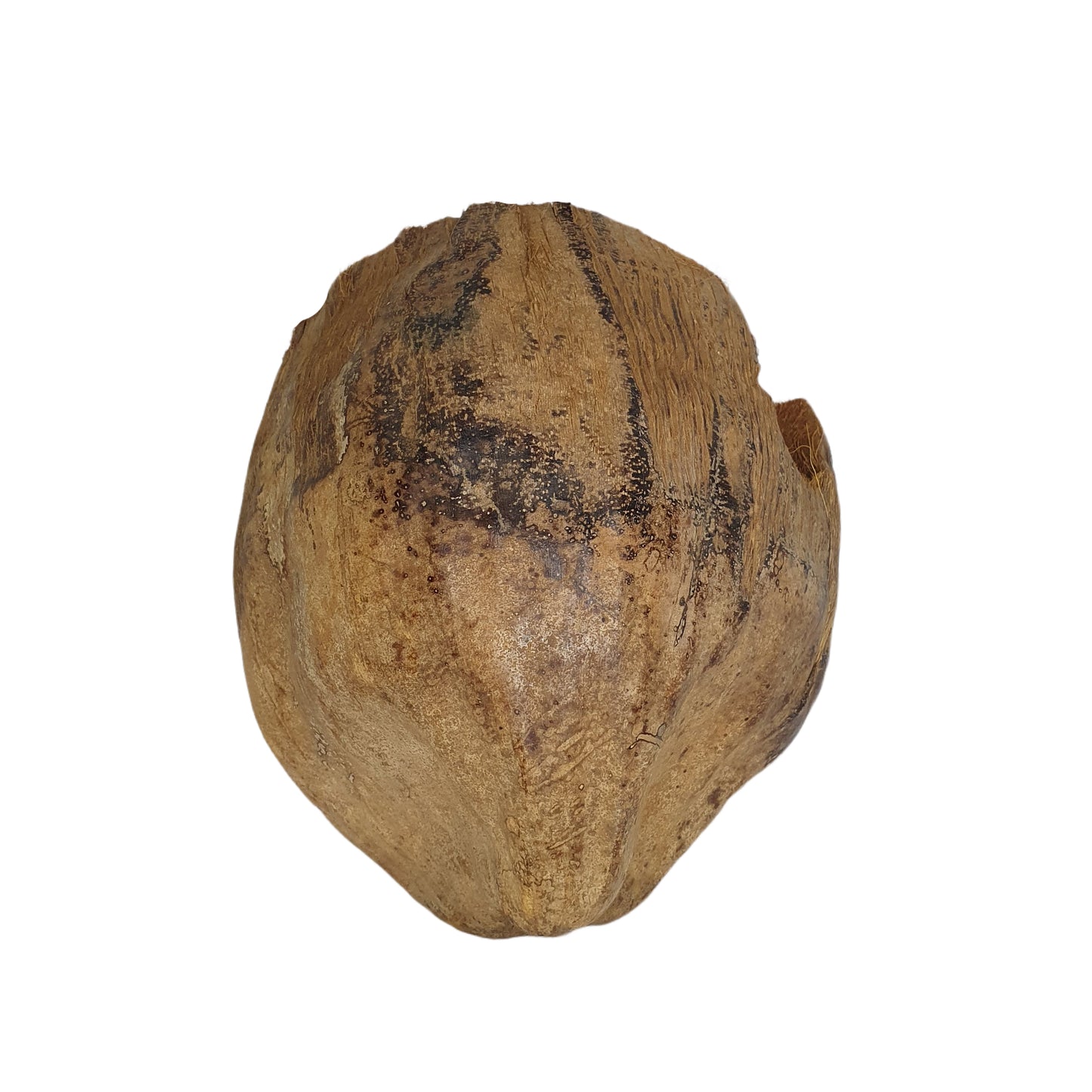 Bivenro Natural 3/4 Cocoa Hideout met schilontwerp (vrije maat)