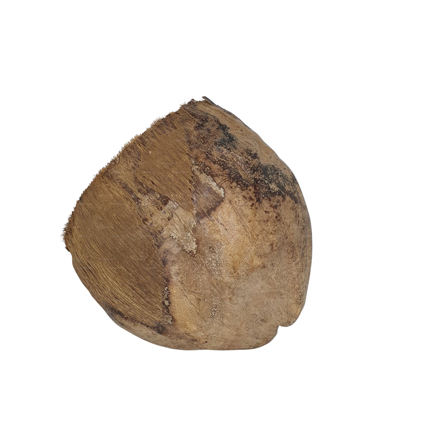Bivenro Natural 3/4 Cocoa Hideout met schilontwerp (vrije maat)