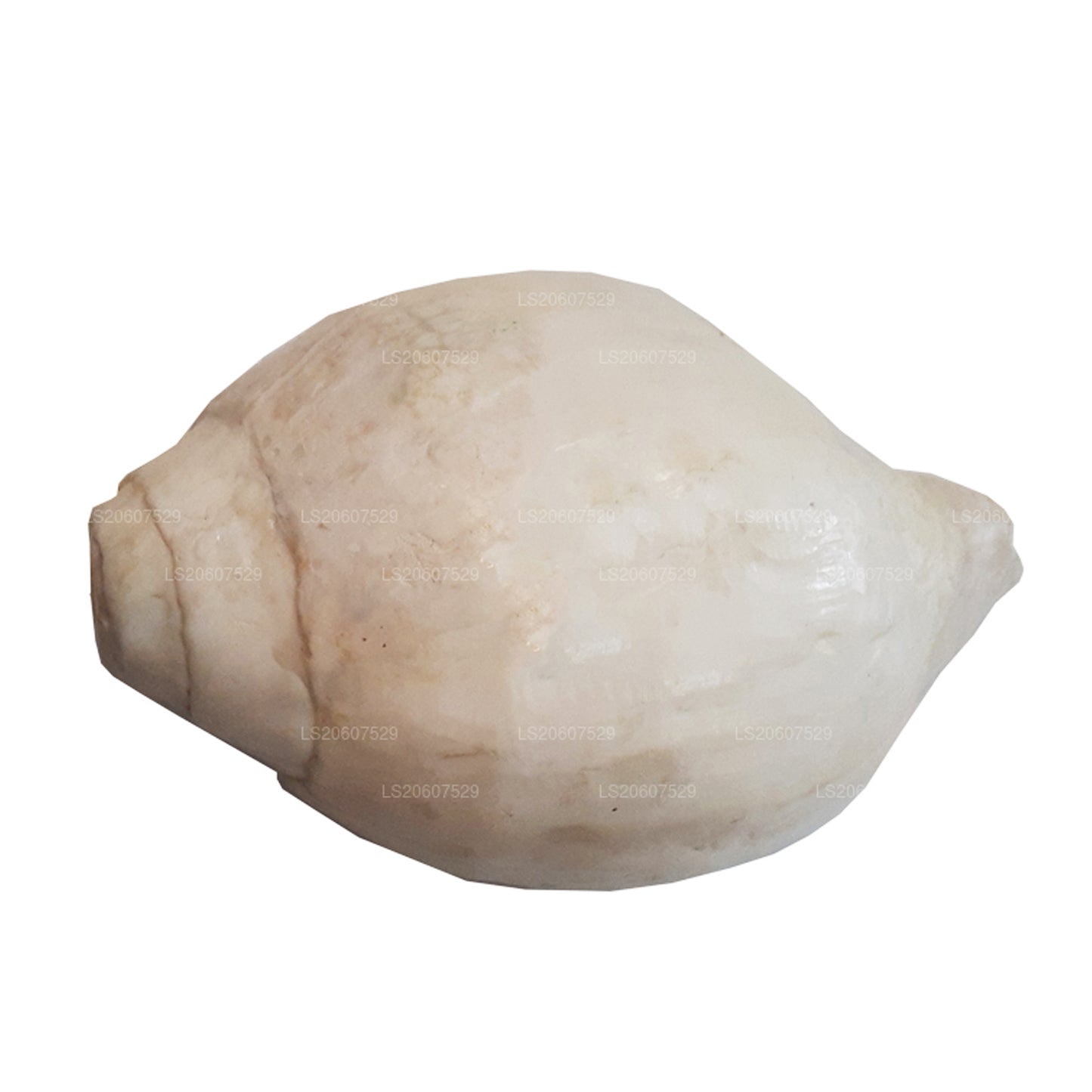 Lakpura Sri Lankaanse Hakgediya