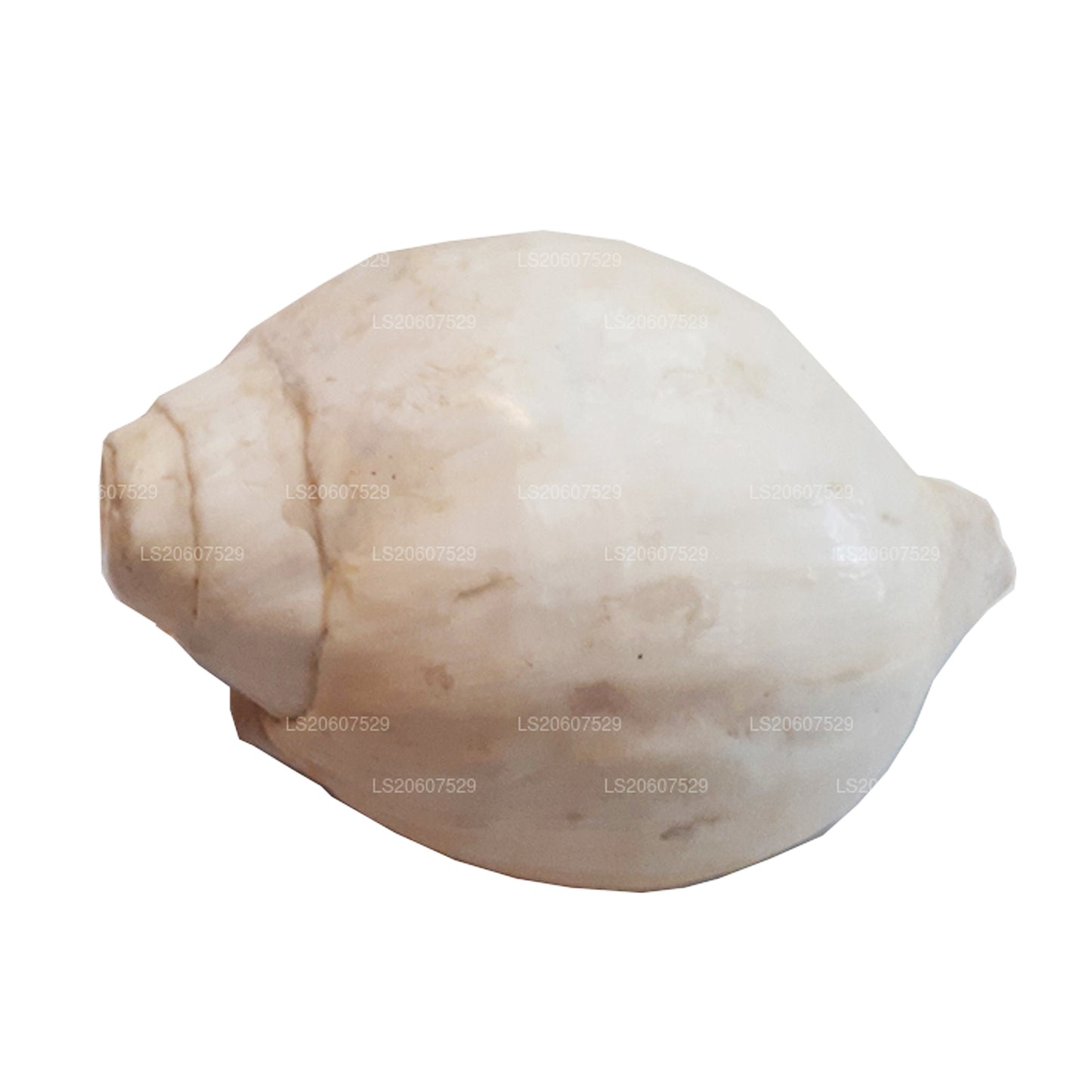 Lakpura Sri Lankaanse Hakgediya