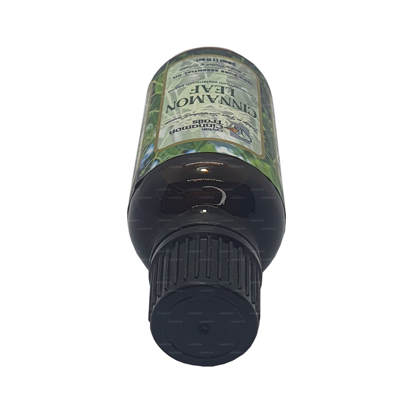 Ceylon Cinnamon Trails Cinnamon Leaf Essentials-olie (10 ml)