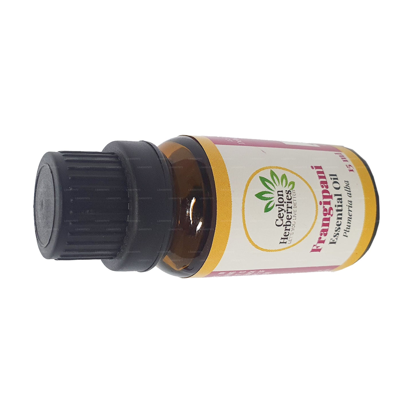 Ceylon Herberries Frangipani etherische olie (Plumeria alba) 15ml