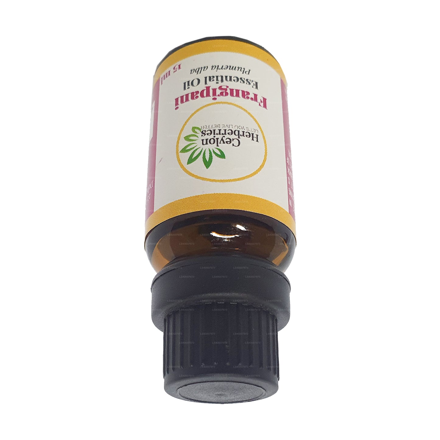 Ceylon Herberries Frangipani etherische olie (Plumeria alba) 15ml