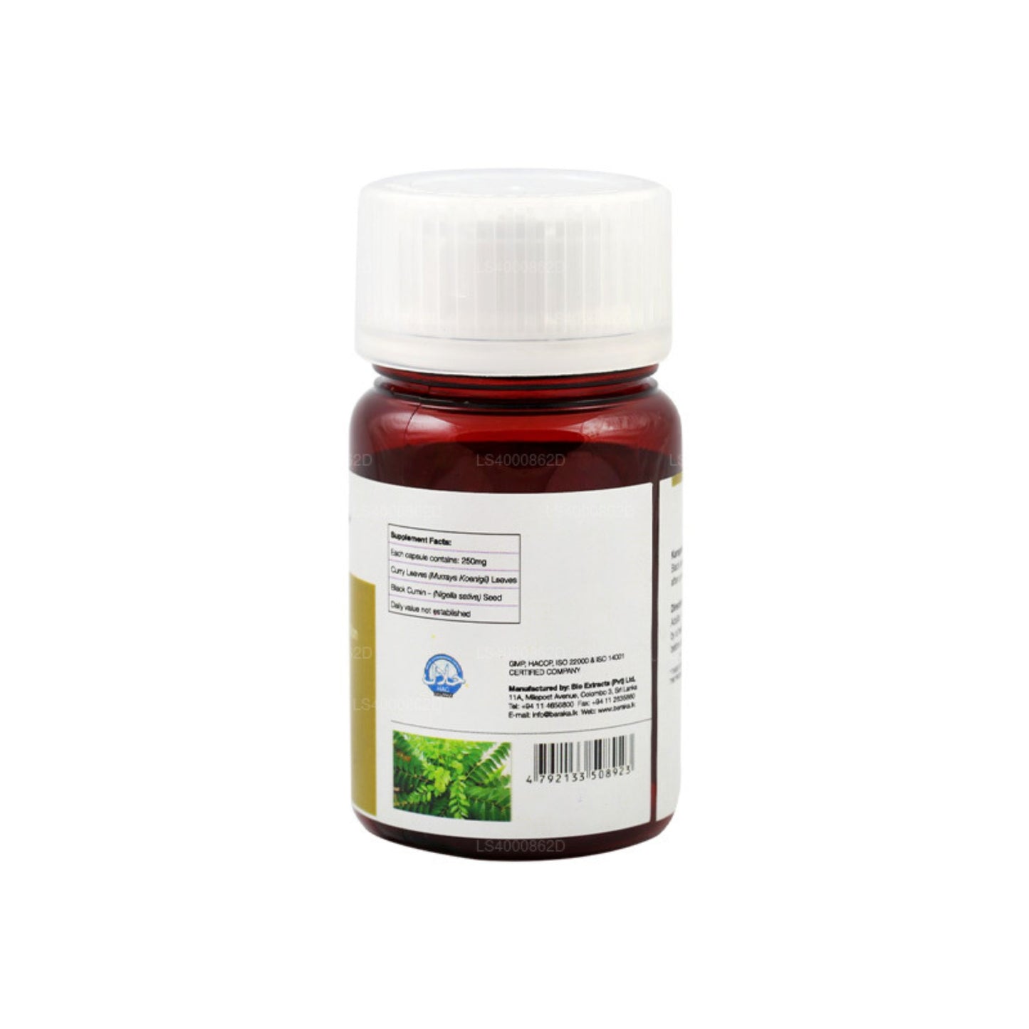 Baraka Karapincha Plus (60 Capsules)