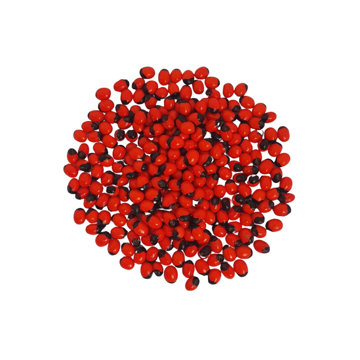 Lakpura® Olinda (Marokkaanse Abrus) Zaden