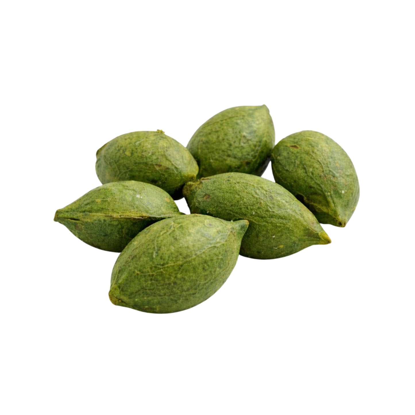 Lakpura® Terminalia Catappa (Kottamba) Heel Zaad