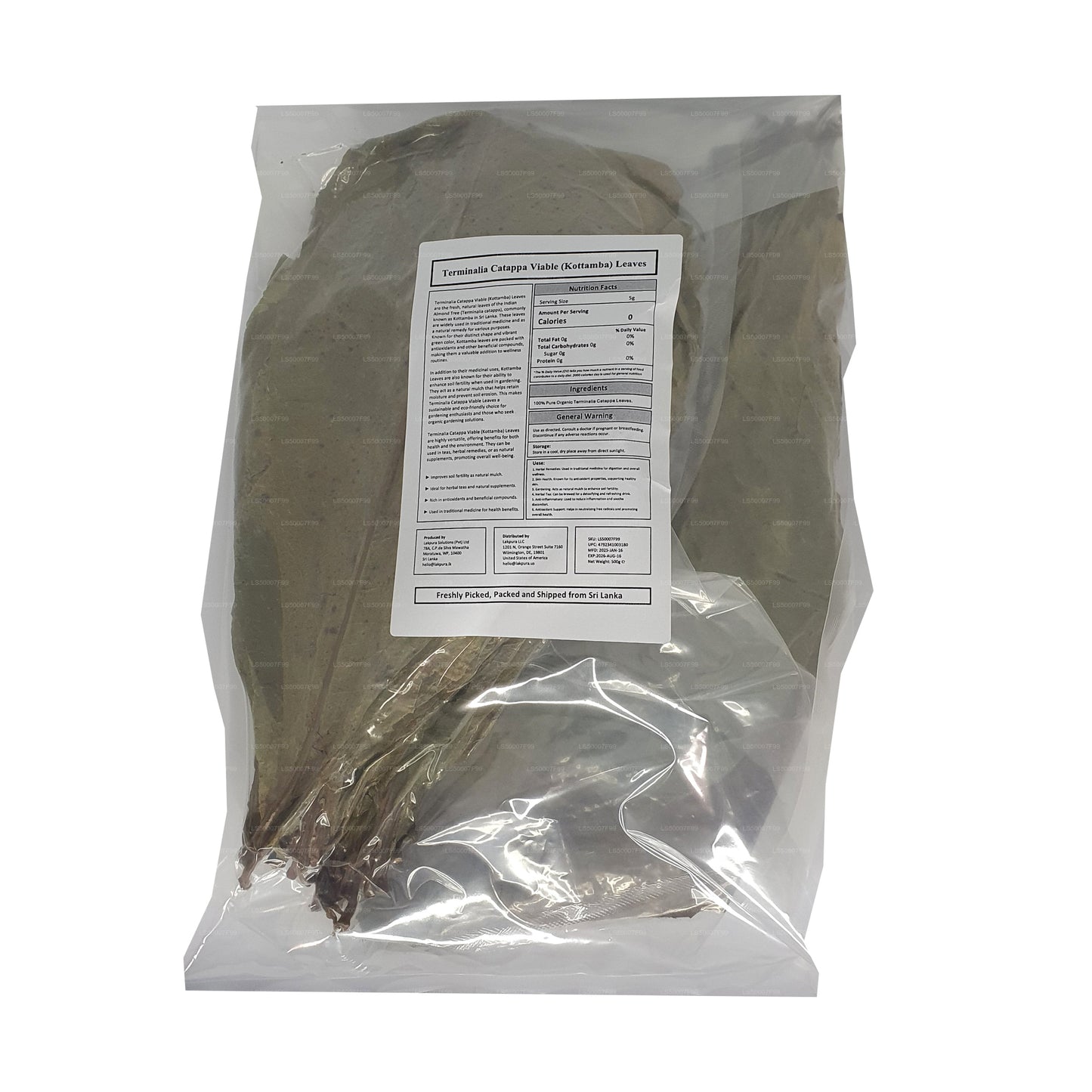 Gedehydrateerde lakpura (Kottan, Kottamba, Indiase amankel) Terminalia catappa 100 blaadjes (100 g)