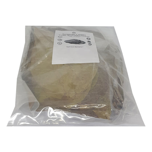Gedehydrateerde lakpura (Kottan, Kottamba, Indiase amankel) Terminalia catappa 100 blaadjes (100 g)