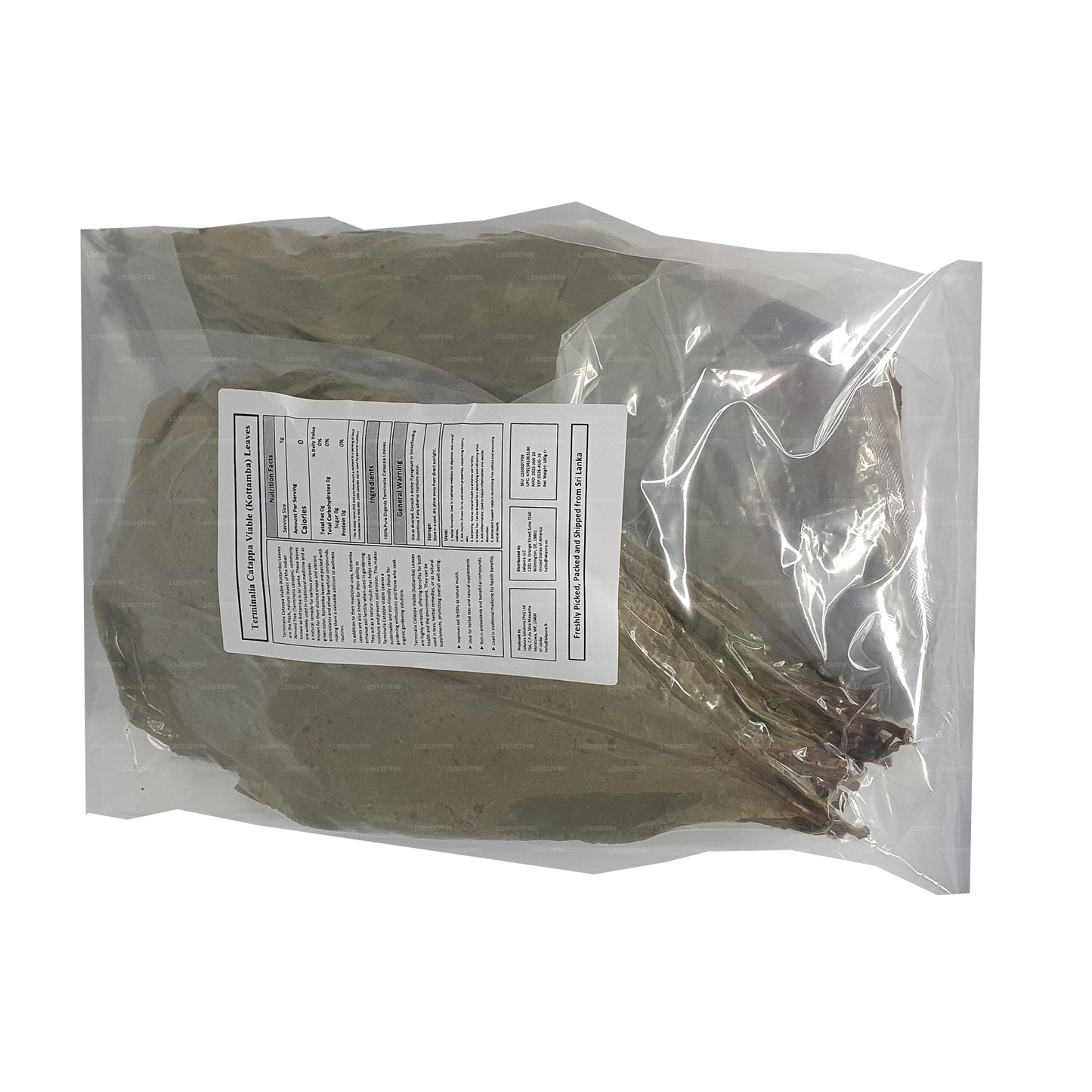 Gedehydrateerde lakpura (Kottan, Kottamba, Indiase amankel) Terminalia catappa 100 blaadjes (100 g)
