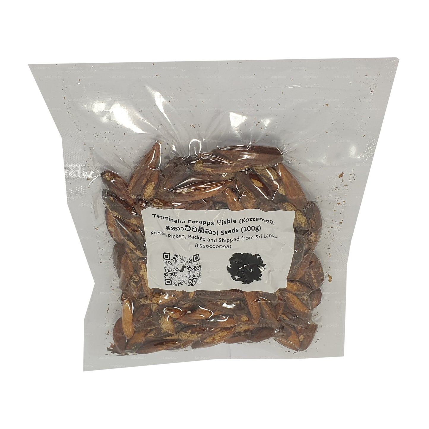 Lakpura® Terminalia Catappa Levensvatbare (Kottamba) Zaden