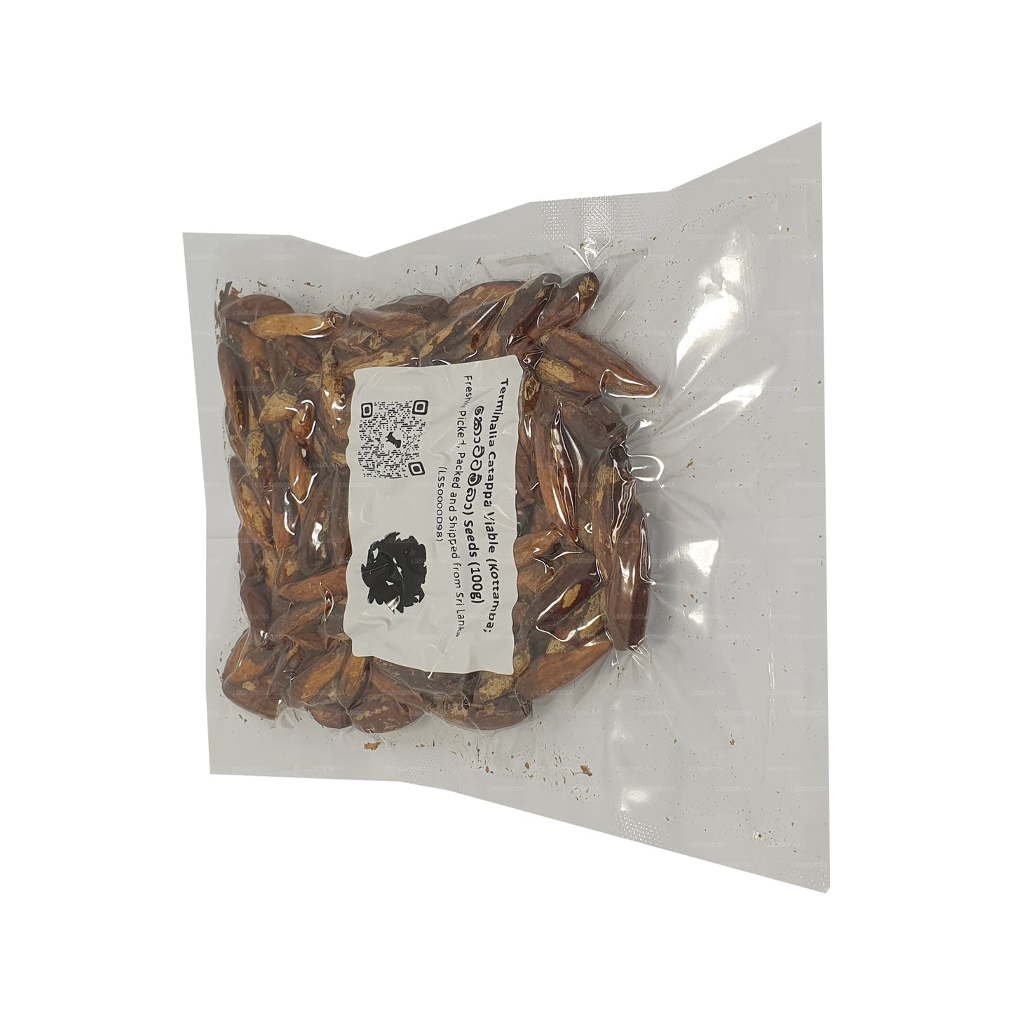 Lakpura® Terminalia Catappa Levensvatbare (Kottamba) Zaden