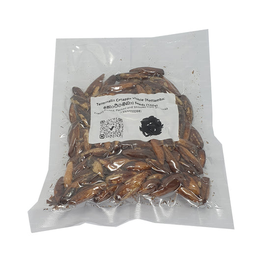 Lakpura® Terminalia Catappa Levensvatbare (Kottamba) Zaden