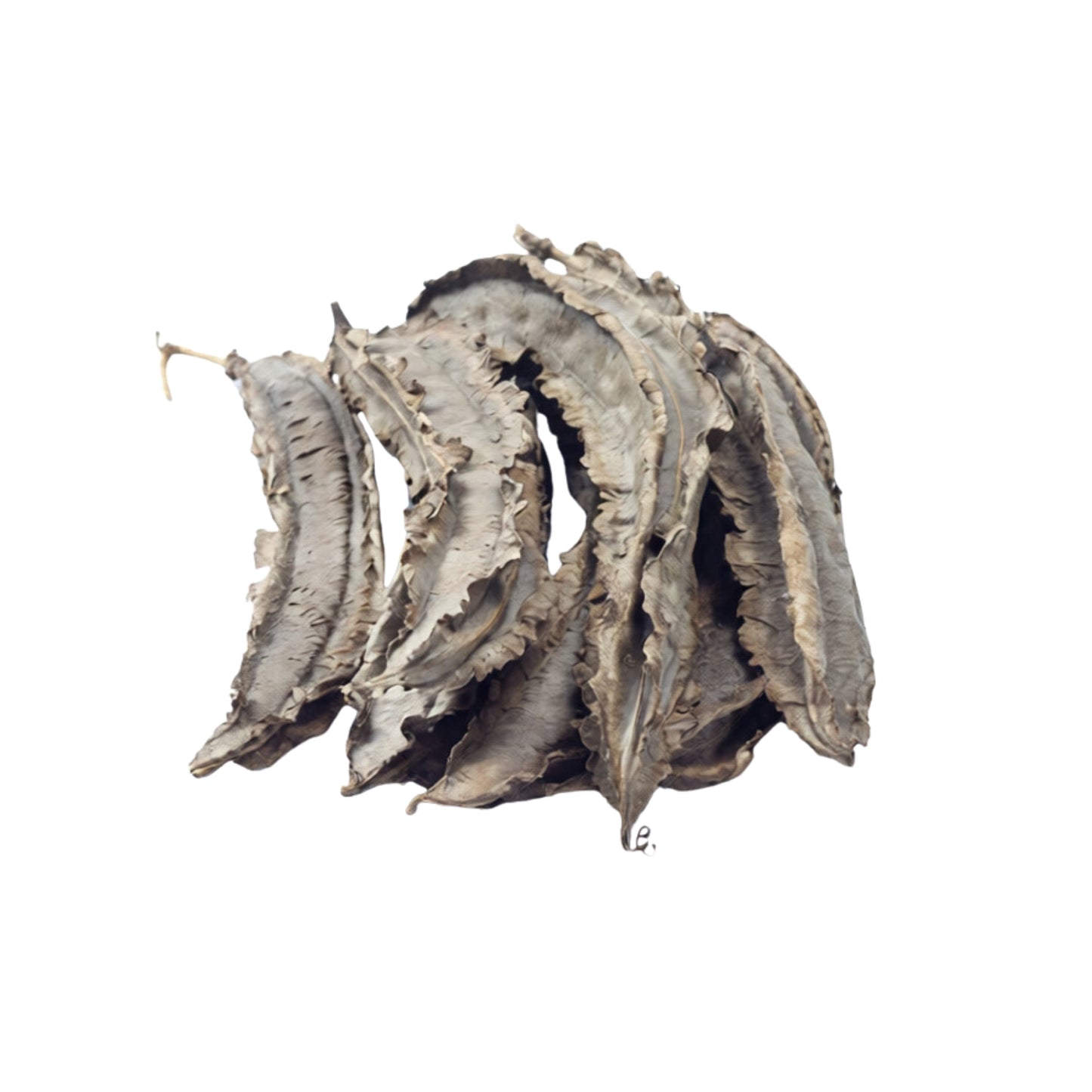 Lakpura gevleugelde bonen