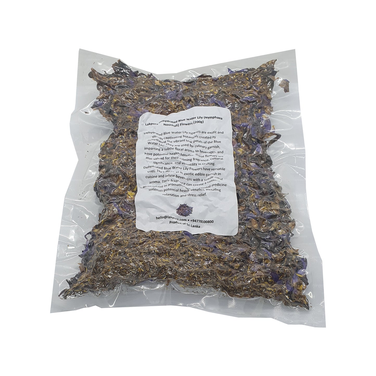 Lakpura Gedehydrateerde blauwe waterlelie (Nymphaea Nouchali) bloeit