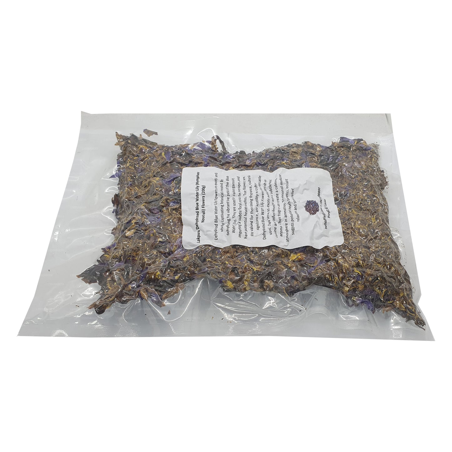 Lakpura Gedehydrateerde blauwe waterlelie (Nymphaea Nouchali) bloeit