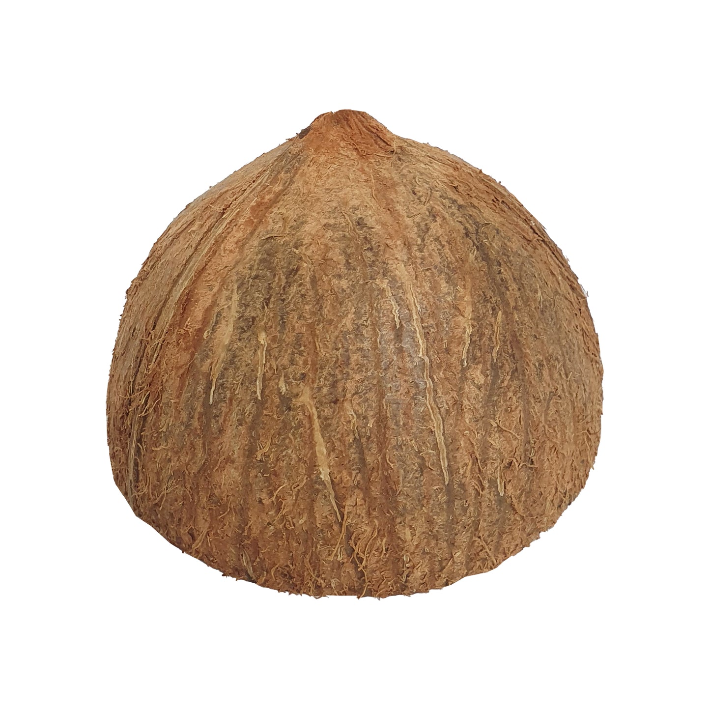 Lakpura® Kokosnootschaal Helften