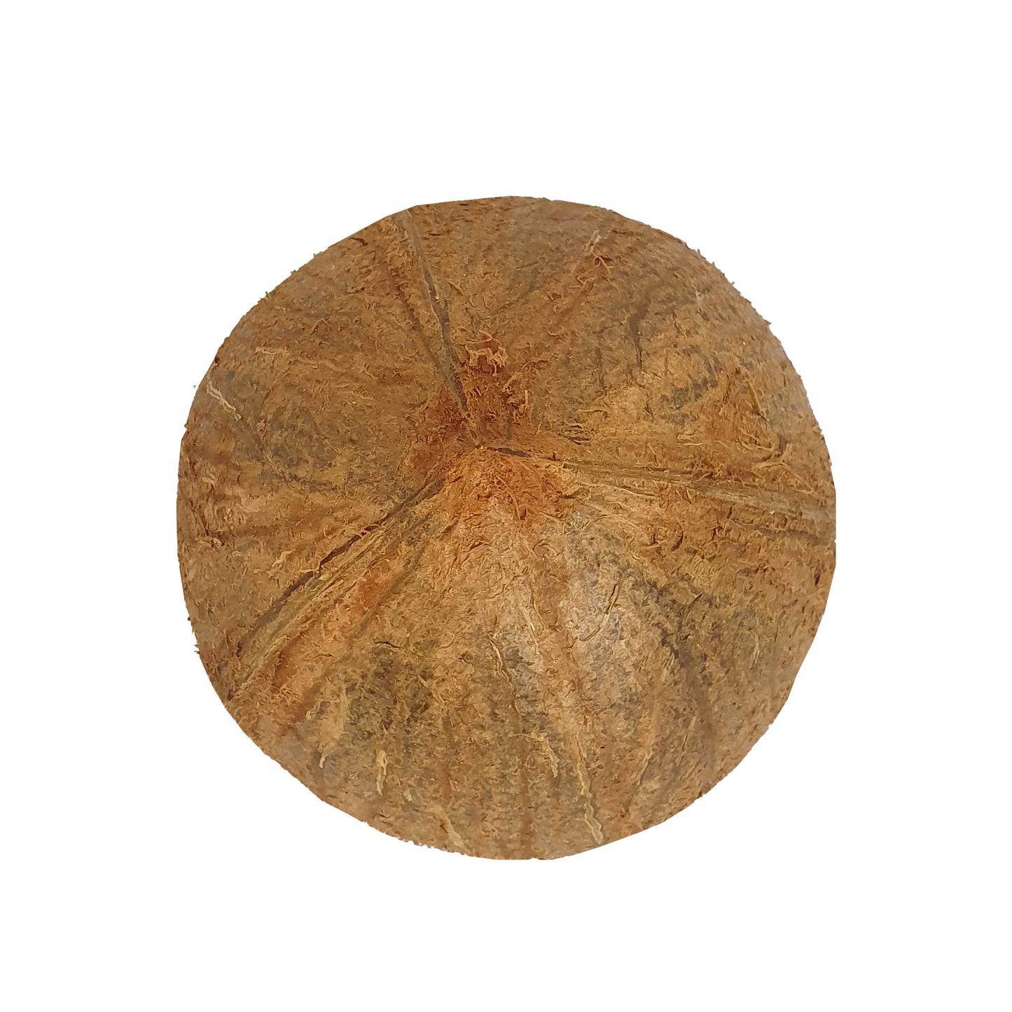 Lakpura® Kokosnootschaal Helften