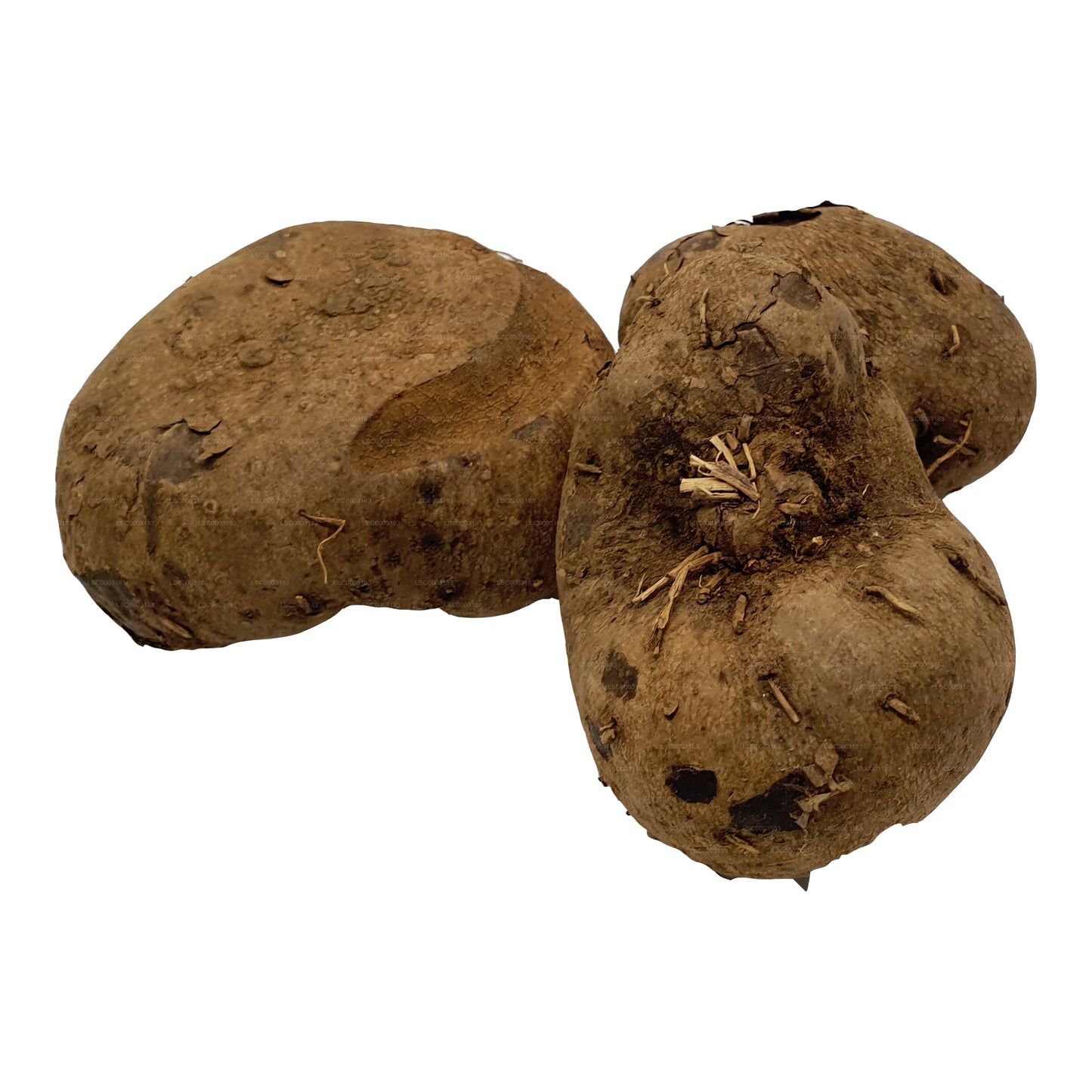 Lakpura® Dandila - Purple Yam - Dandila Ala