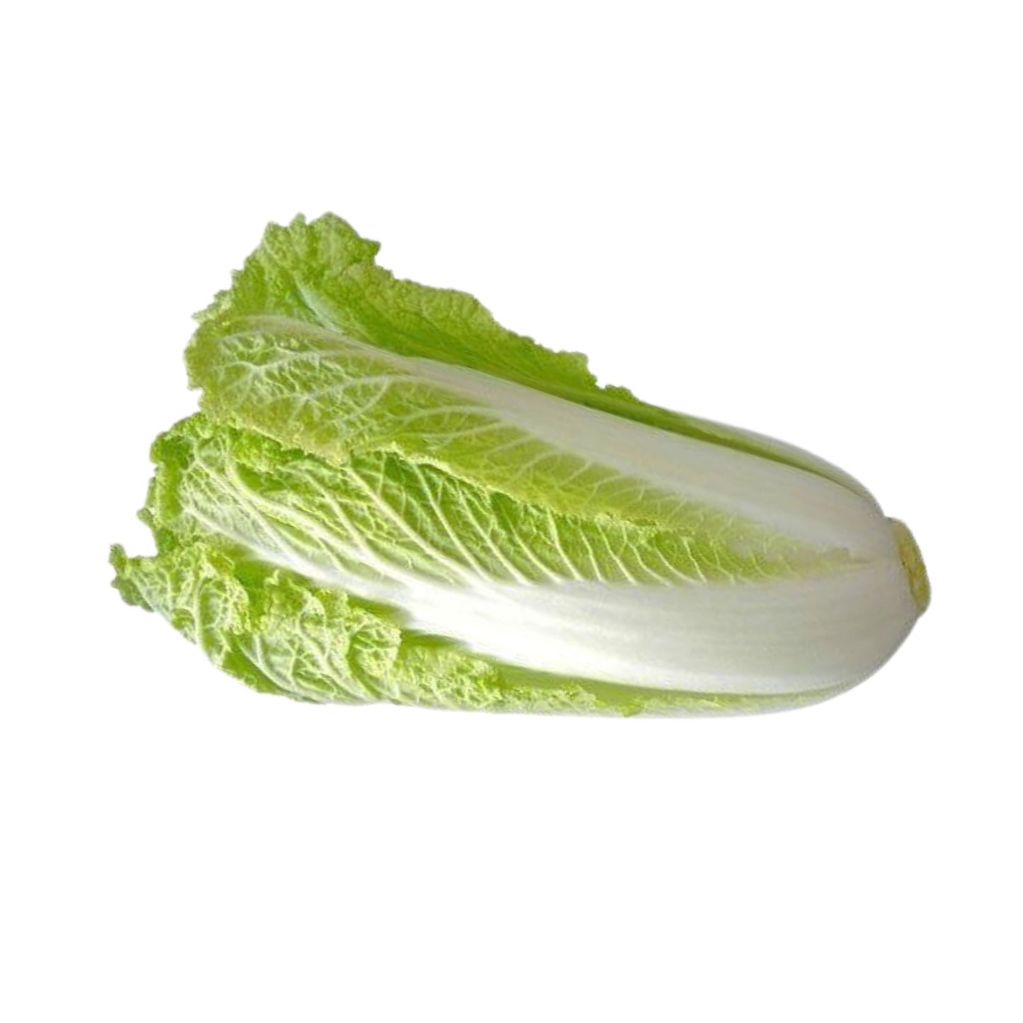 Lakpura® Chinese Cabbage