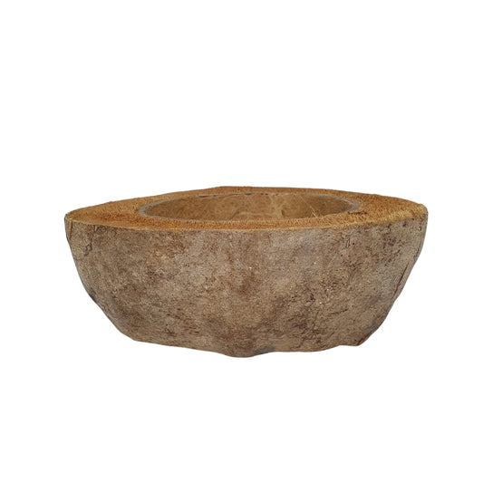 Bivenro Natural Coconut Planting Pot-ontwerp (gratis formaat)