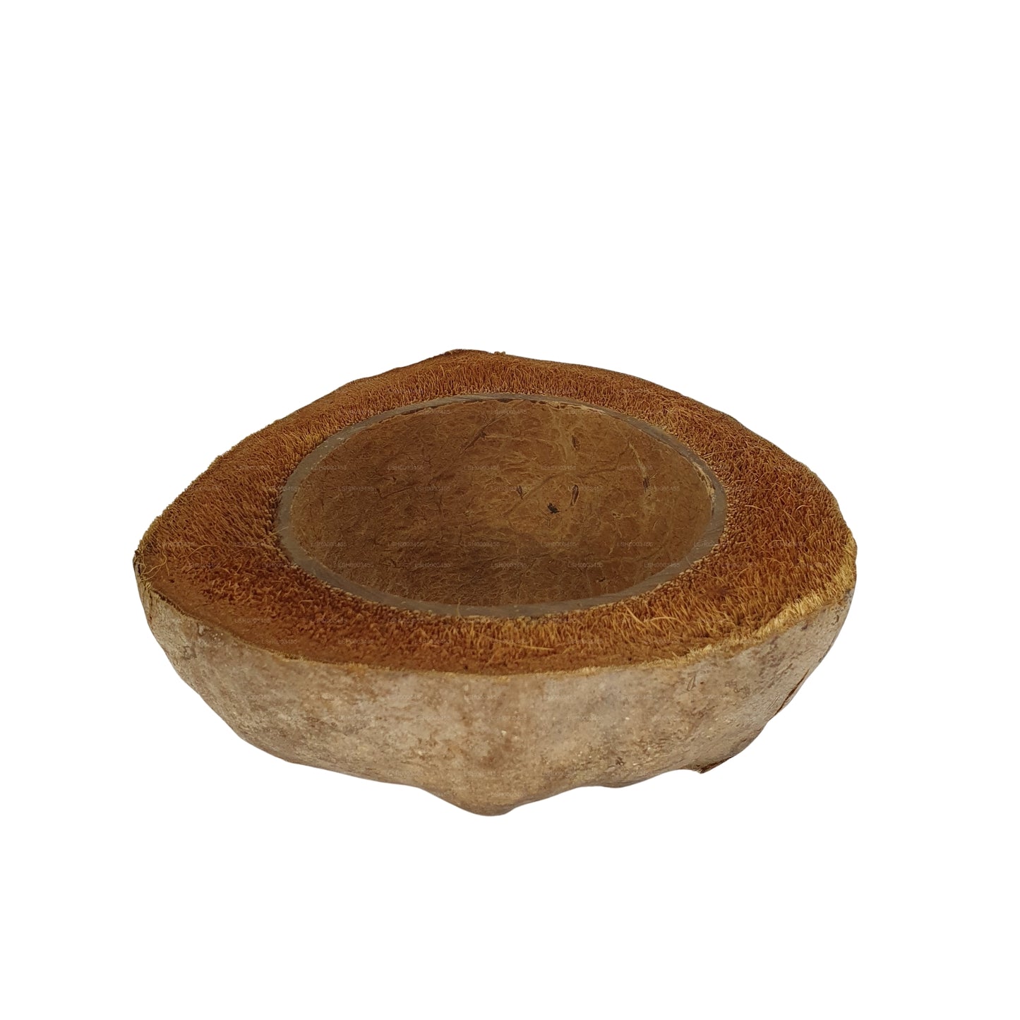 Bivenro Natural Coconut Planting Pot-ontwerp (gratis formaat)