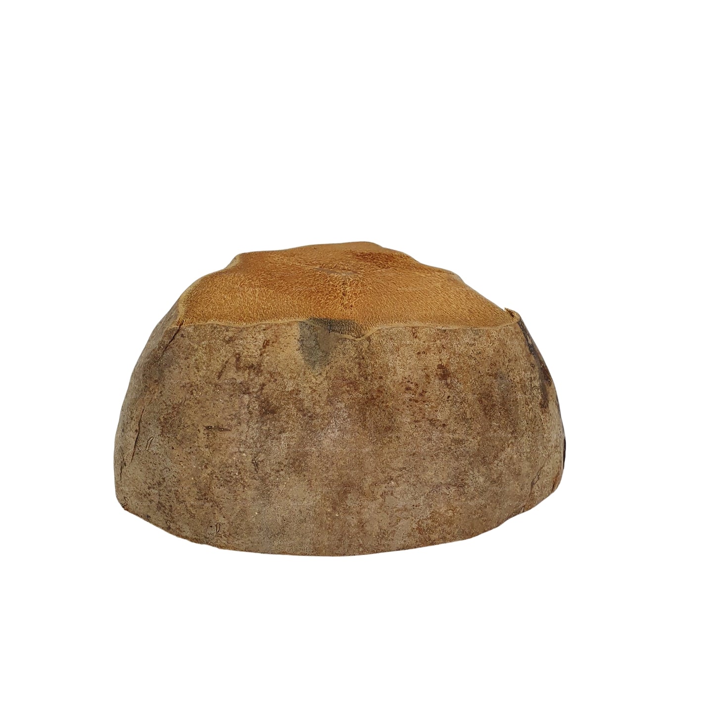 Bivenro Natural Coconut Planting Pot-ontwerp (gratis formaat)