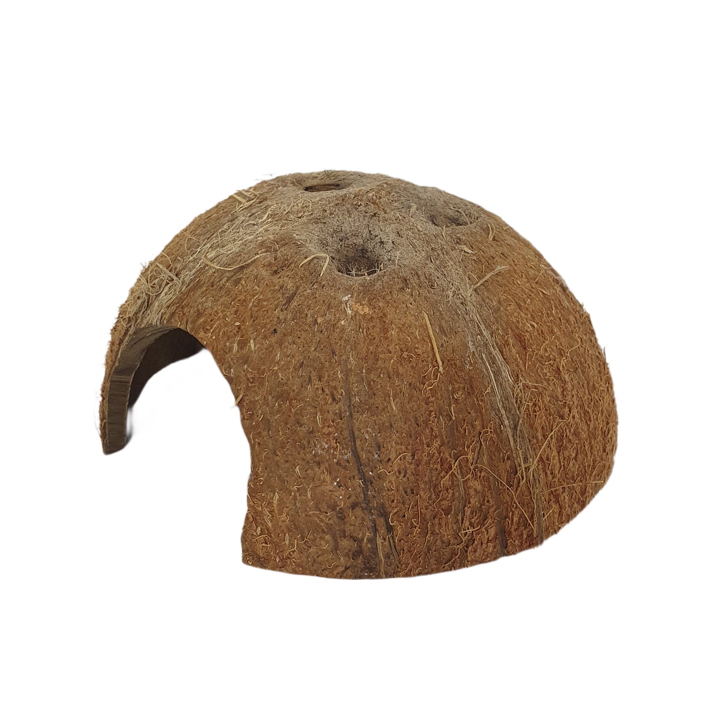 Bivenro Natural 1/2 Coconut Shell Cave (gratis formaat)
