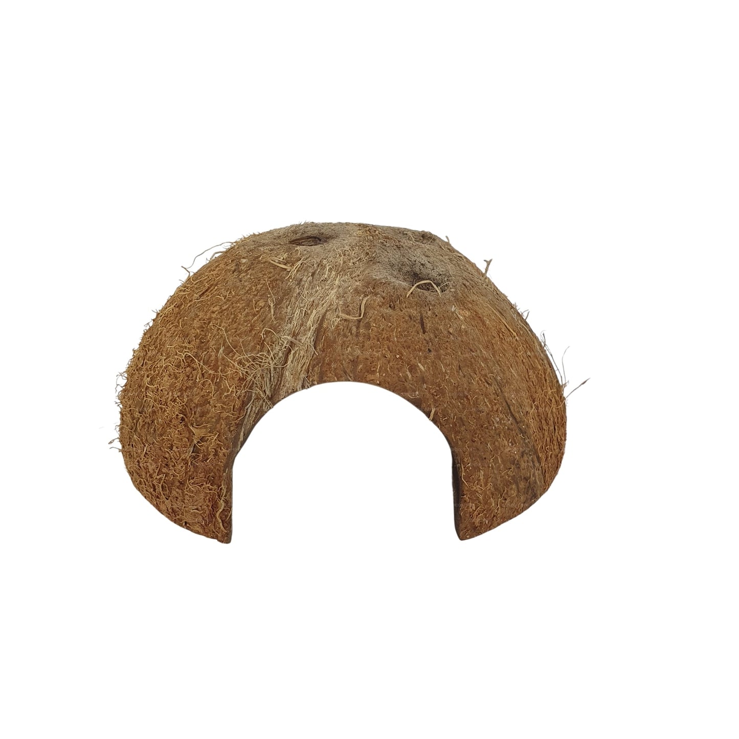 Bivenro Natural 1/2 Coconut Shell Cave (gratis formaat)