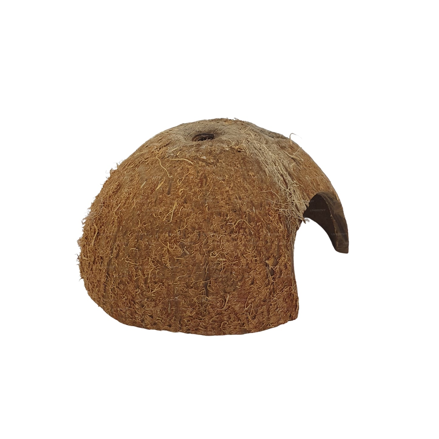 Bivenro Natural 1/2 Coconut Shell Cave (gratis formaat)