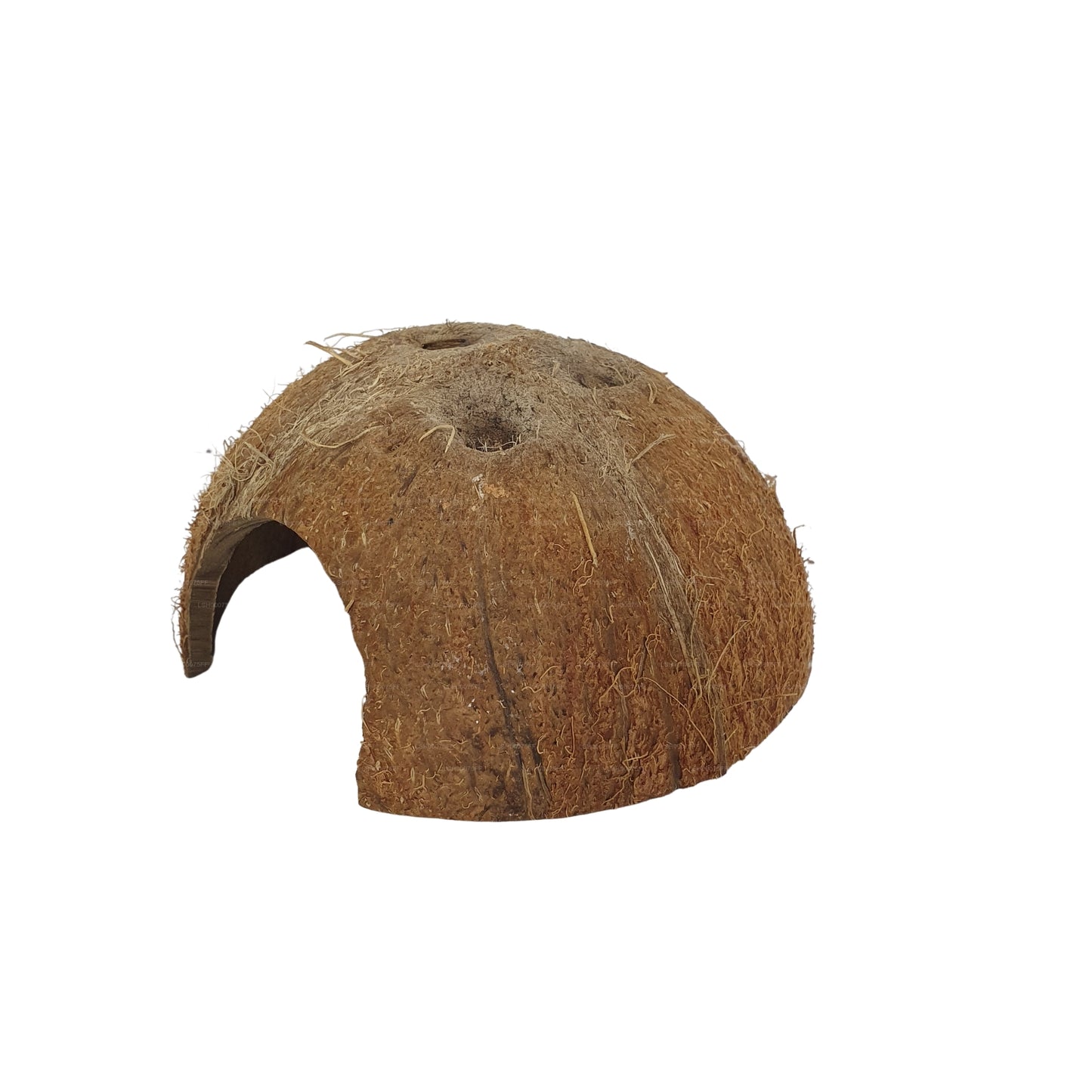 Bivenro Natural 1/2 Coconut Shell Cave (gratis formaat)