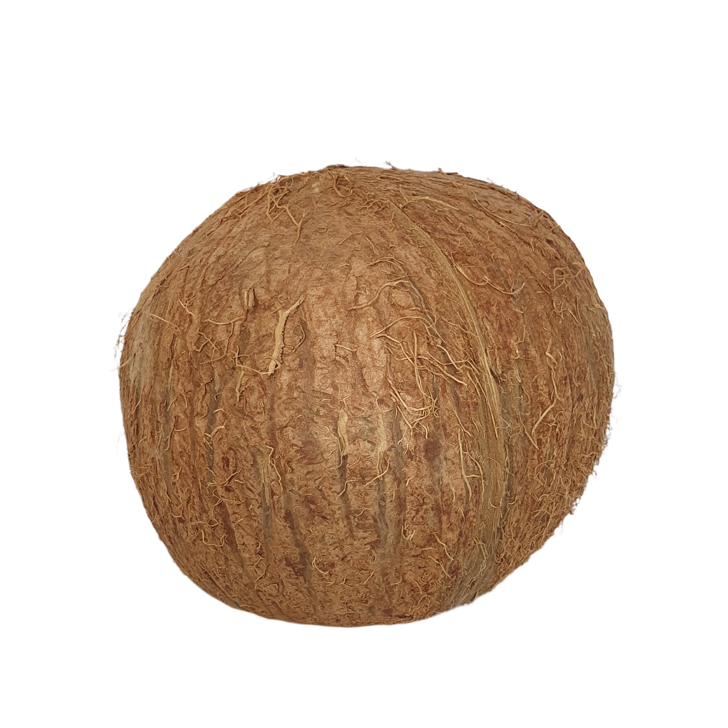 Bivenro Natural 3/4 Coconut Shell Cave (gratis formaat)