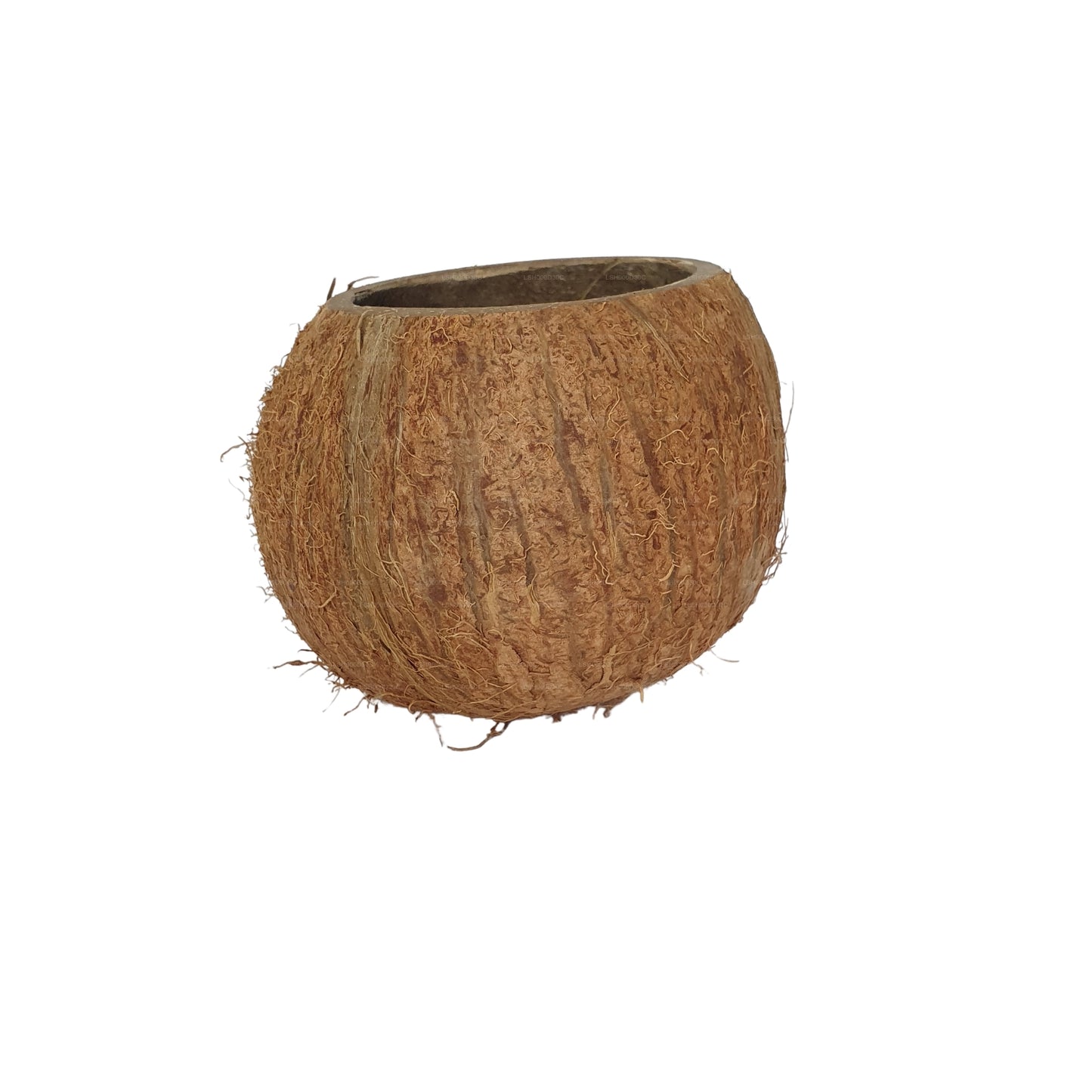 Bivenro Natural 3/4 Coconut Shell Cave (gratis formaat)