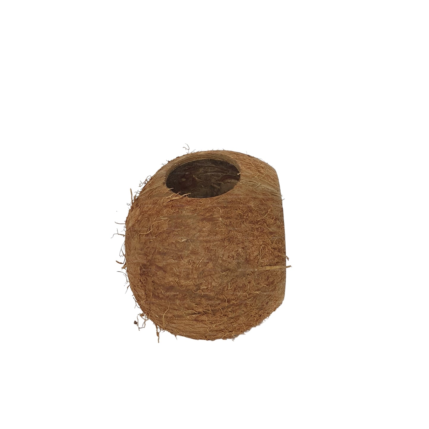 Bivenro Natural 3/4 Coconut Shell Cave (gratis formaat)