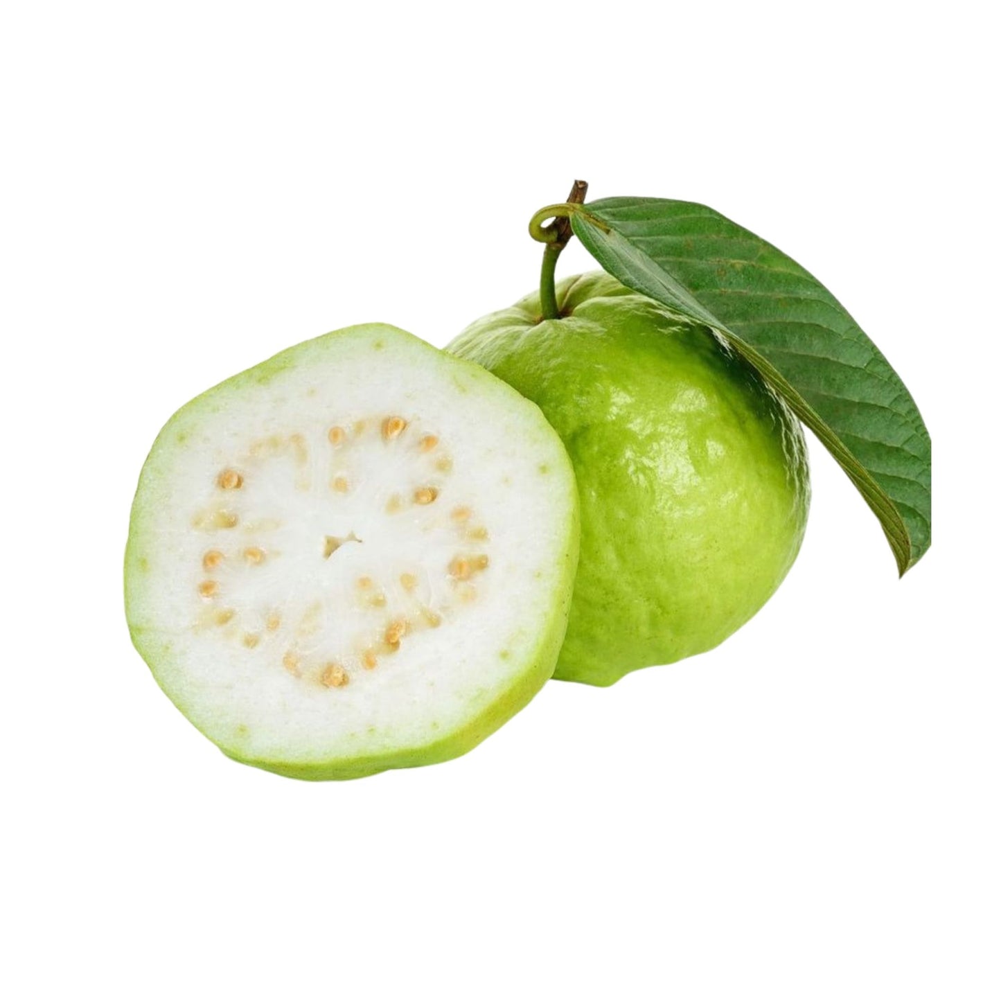 Lakpura Kilo Guave Fruitplant