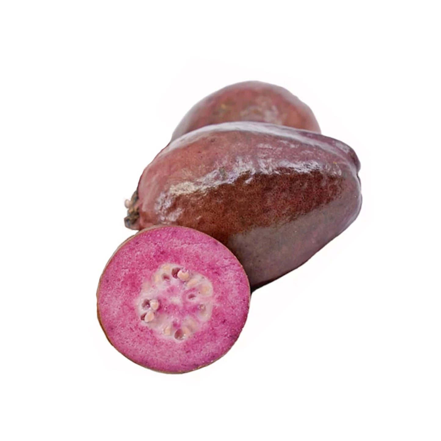 Lakpura paarse guavefruitplant