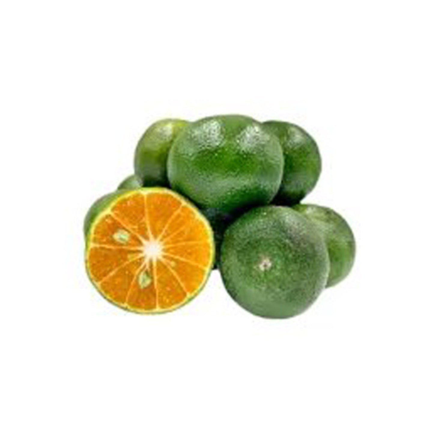 Lakpura Nas Narang geënte plant